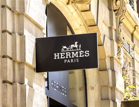 future hermes|hermes net profit.